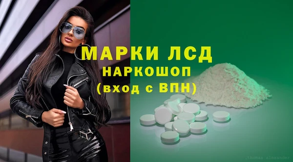 ECSTASY Алзамай