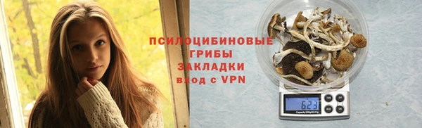 круглые Алексеевка