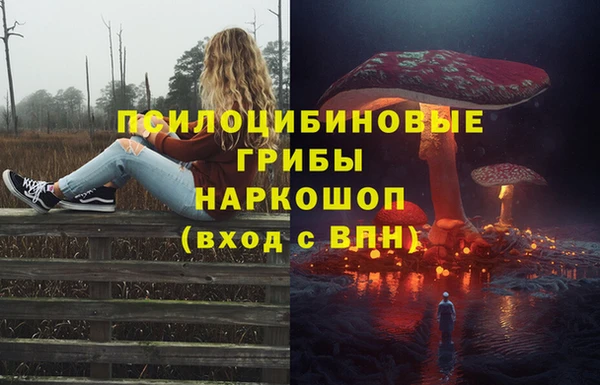 тгк Алексин