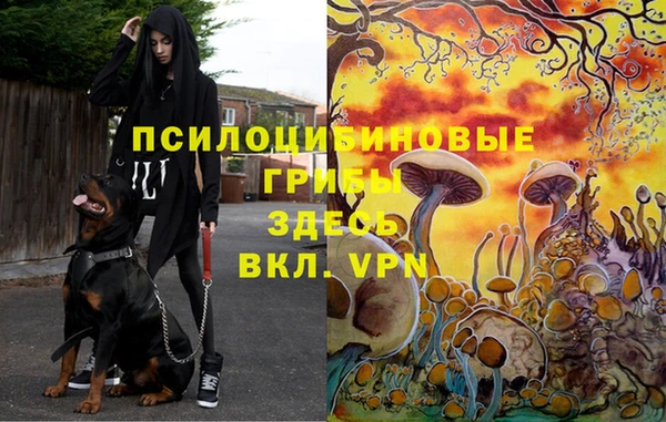 ECSTASY Алзамай
