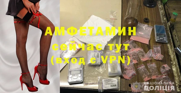 ECSTASY Алзамай