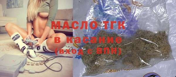 ECSTASY Алзамай