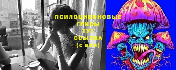 ECSTASY Алзамай