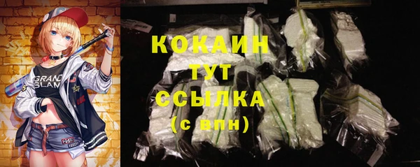 тгк Алексин